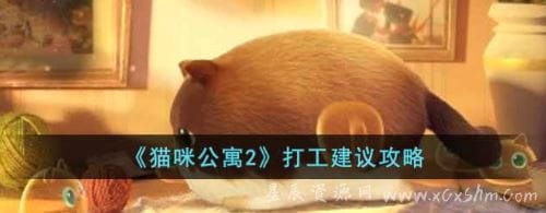 猫咪公寓2打工怎么选猫-猫咪公寓2